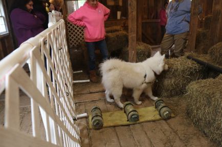 72272420_1251581018362832_4680686626542714880_o